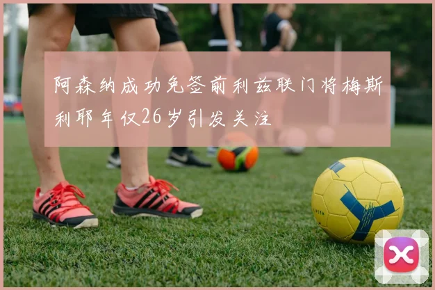 阿森纳成功免签前利兹联门将梅斯利耶年仅26岁引发关注